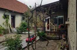 Casa individuala de 120 mp, 3000 mp teren, zona turistica Nadrag!