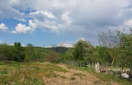 Casa individuala de 120 mp, 3000 mp teren, zona turistica Nadrag!