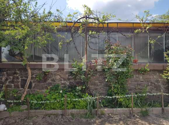 Casa de vânzare 4 camere Nadrag - 85869CV | BLITZ Timișoara | Poza14