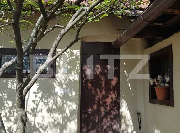 Casa de vânzare 4 camere Nadrag - 85869CV | BLITZ Timișoara | Poza8