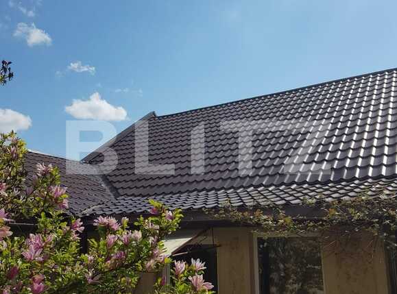 Casa de vânzare 4 camere Nadrag - 85869CV | BLITZ Timișoara | Poza12