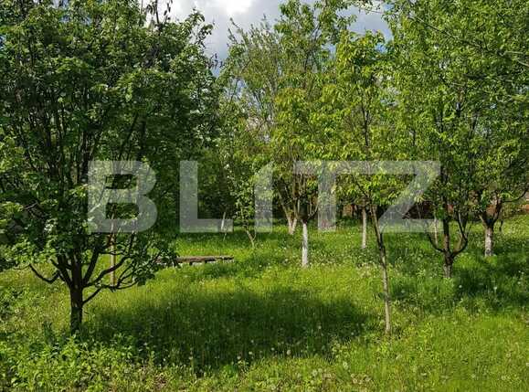 Casa de vânzare 4 camere Nadrag - 85869CV | BLITZ Timișoara | Poza19