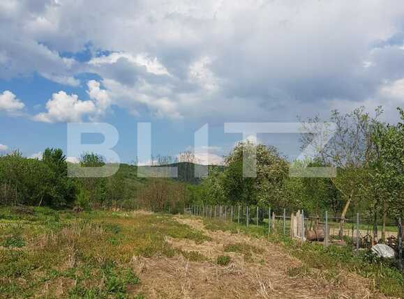 Casa de vânzare 4 camere Nadrag - 85869CV | BLITZ Timișoara | Poza17