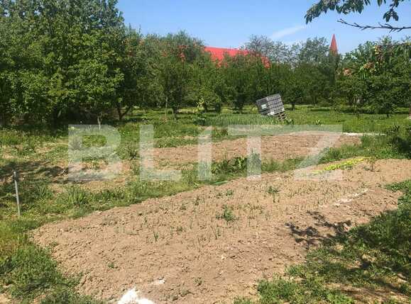 Casa de vânzare 4 camere Nadrag - 85869CV | BLITZ Timișoara | Poza16