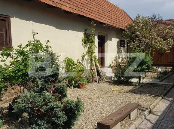 Casa de vânzare 4 camere Nadrag - 85869CV | BLITZ Timișoara | Poza2