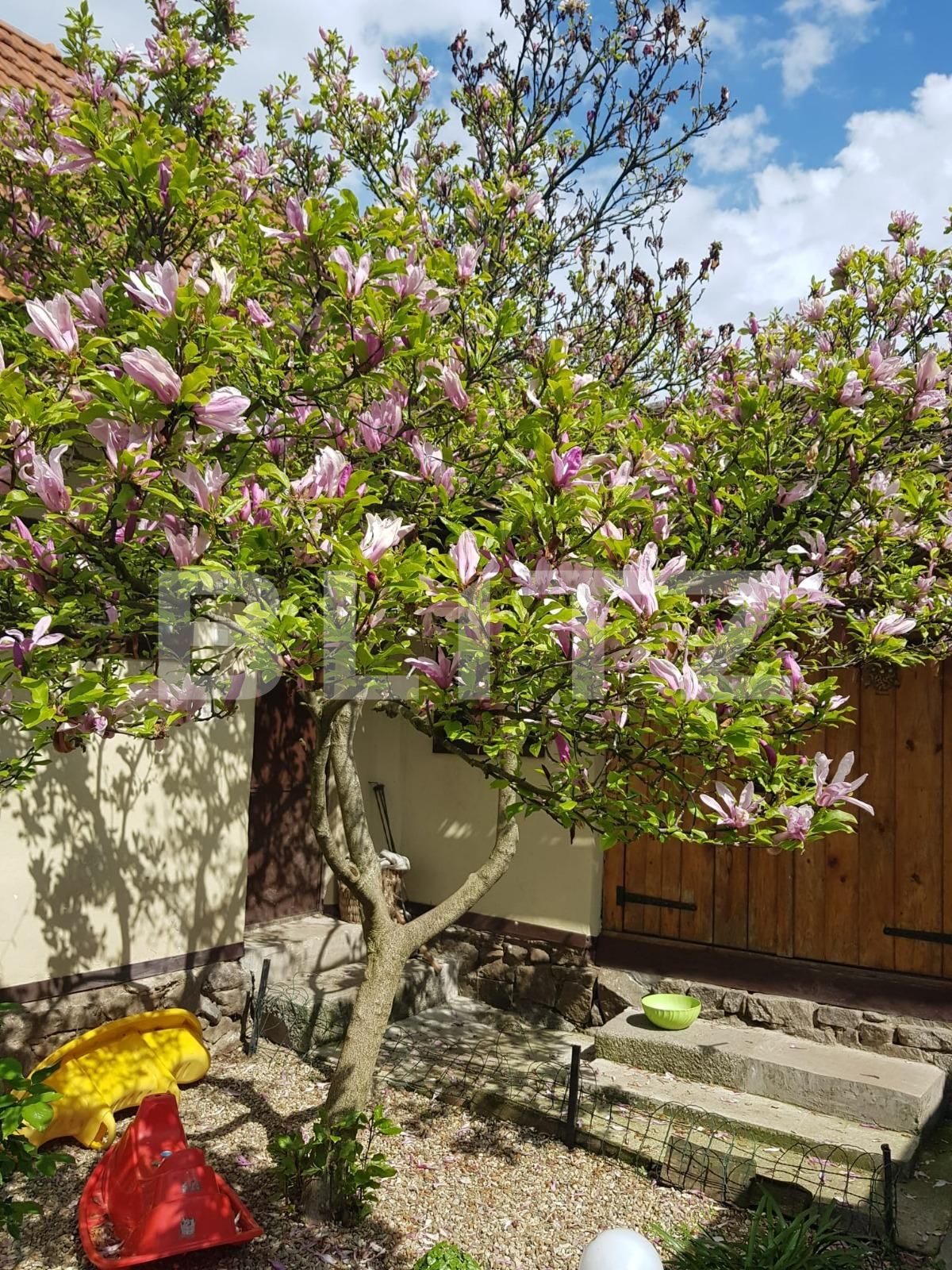 Casa de vânzare 4 camere Nadrag - 85869CV | BLITZ Timișoara | Poza7