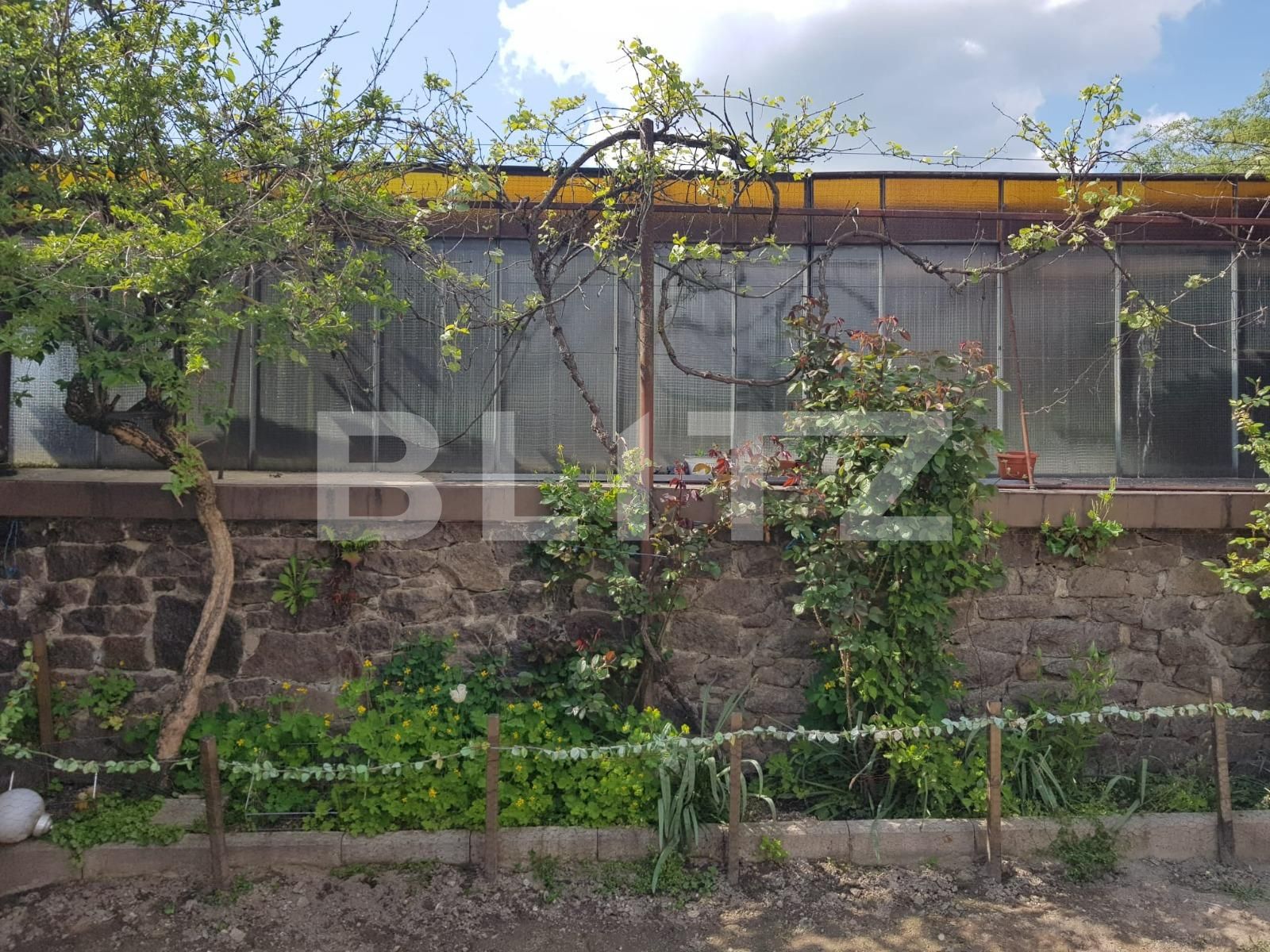 Casa de vânzare 4 camere Nadrag - 85869CV | BLITZ Timișoara | Poza14