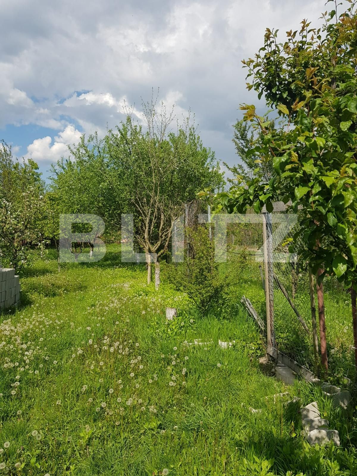 Casa de vânzare 4 camere Nadrag - 85869CV | BLITZ Timișoara | Poza18