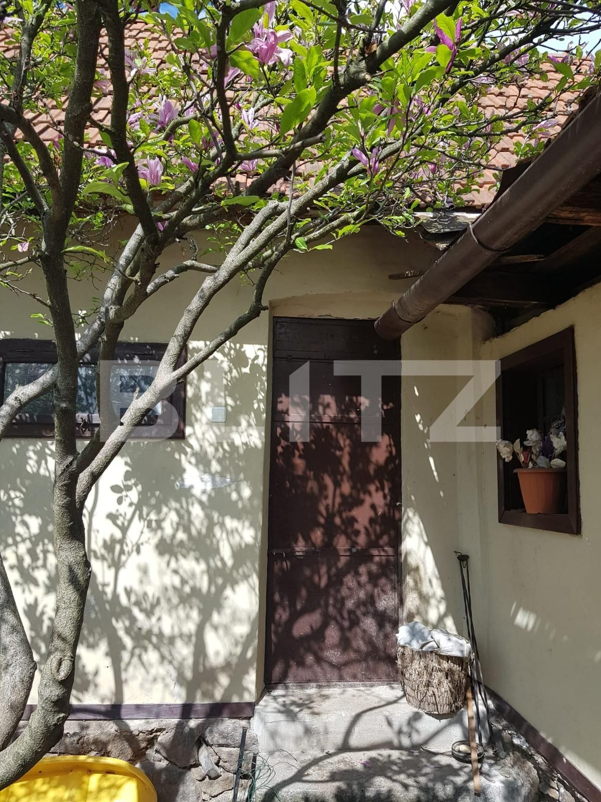 Casa de vânzare 4 camere Nadrag - 85869CV | BLITZ Timișoara | Poza8