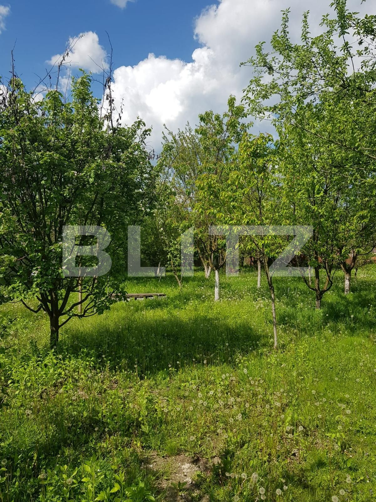 Casa de vânzare 4 camere Nadrag - 85869CV | BLITZ Timișoara | Poza19