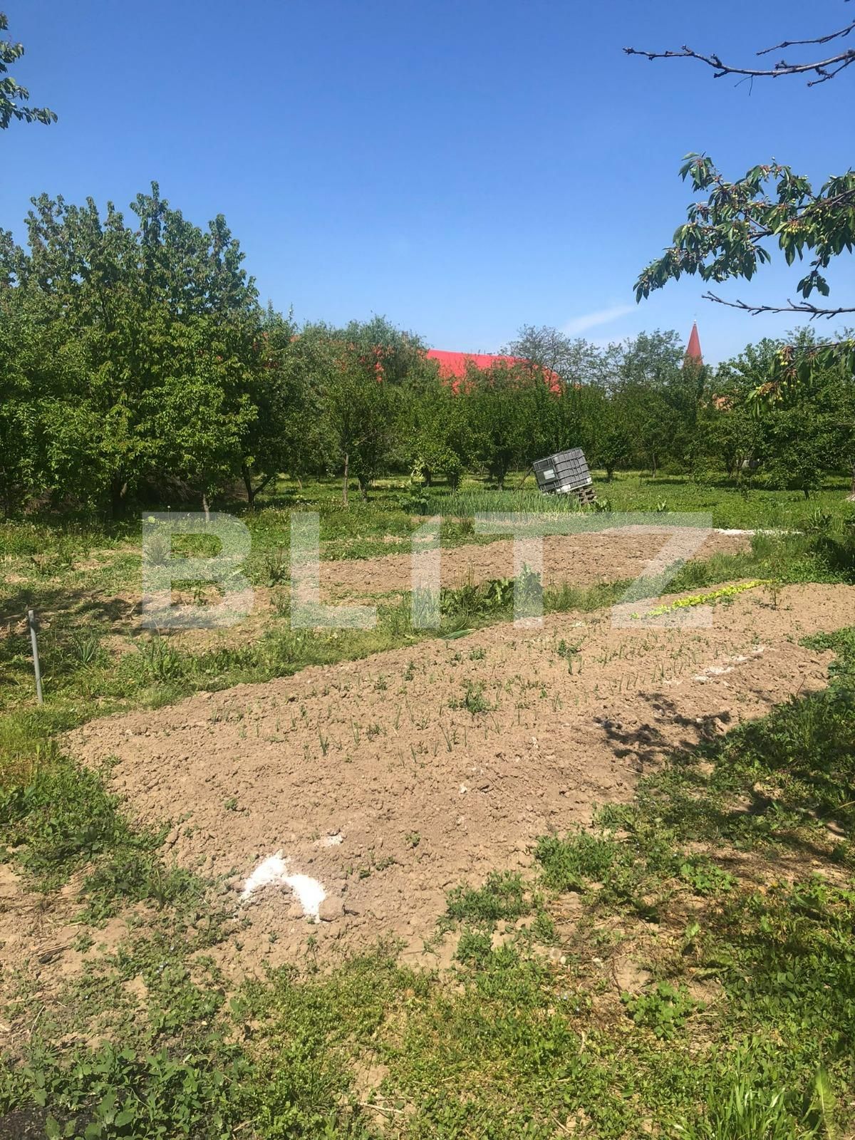 Casa de vânzare 4 camere Nadrag - 85869CV | BLITZ Timișoara | Poza16