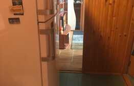 Apartament de 2 camere, 40 mp, etaj intermediar, Calea Sagului