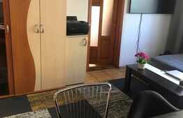 Apartament de 2 camere, 40 mp, etaj intermediar, Calea Sagului