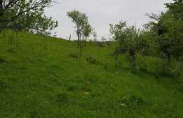 Casa de 100 mp, teren 5700 mp, Nadrag!