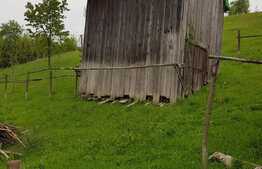 Casa de 100 mp, teren 5700 mp, Nadrag!