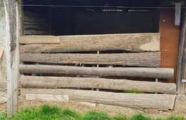 Casa de 100 mp, teren 5700 mp, Nadrag!