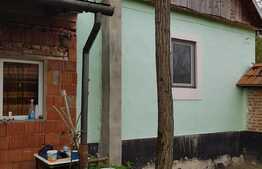 Casa de 100 mp, teren 5700 mp, Nadrag!