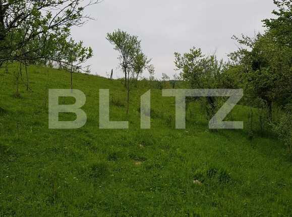 Casa de vânzare 3 camere Nadrag - 85924CV | BLITZ Timișoara | Poza12