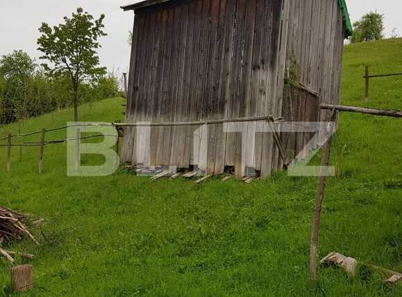 Casa de vânzare 3 camere Nadrag - 85924CV | BLITZ Timișoara | Poza13