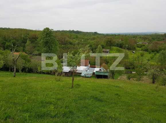 Casa de vânzare 3 camere Nadrag - 85924CV | BLITZ Timișoara | Poza10