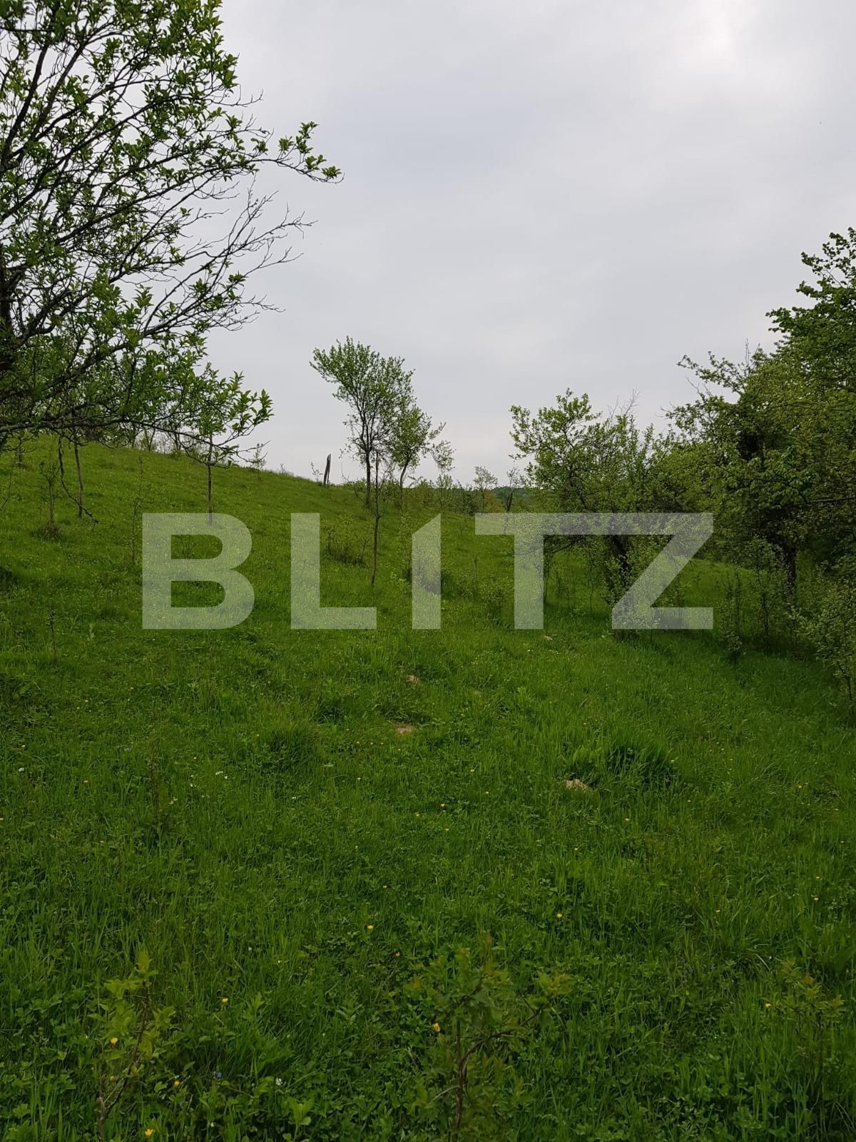 Casa de vânzare 3 camere Nadrag - 85924CV | BLITZ Timișoara | Poza12