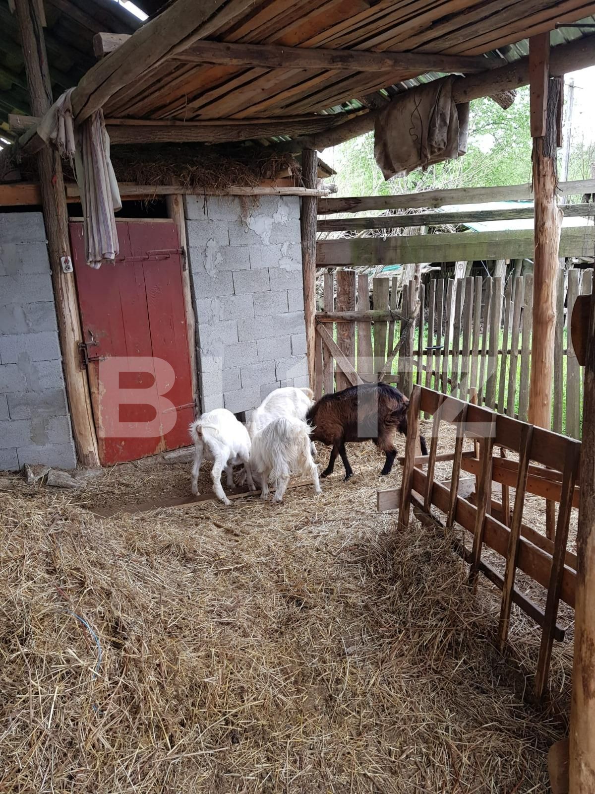 Casa de vânzare 3 camere Nadrag - 85924CV | BLITZ Timișoara | Poza14