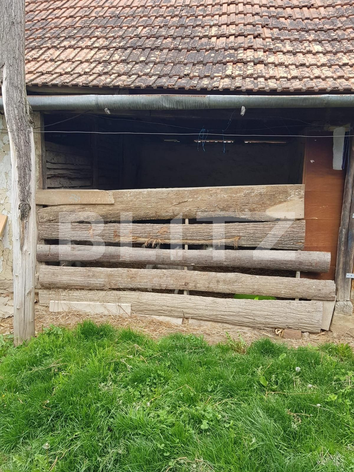 Casa de vânzare 3 camere Nadrag - 85924CV | BLITZ Timișoara | Poza18