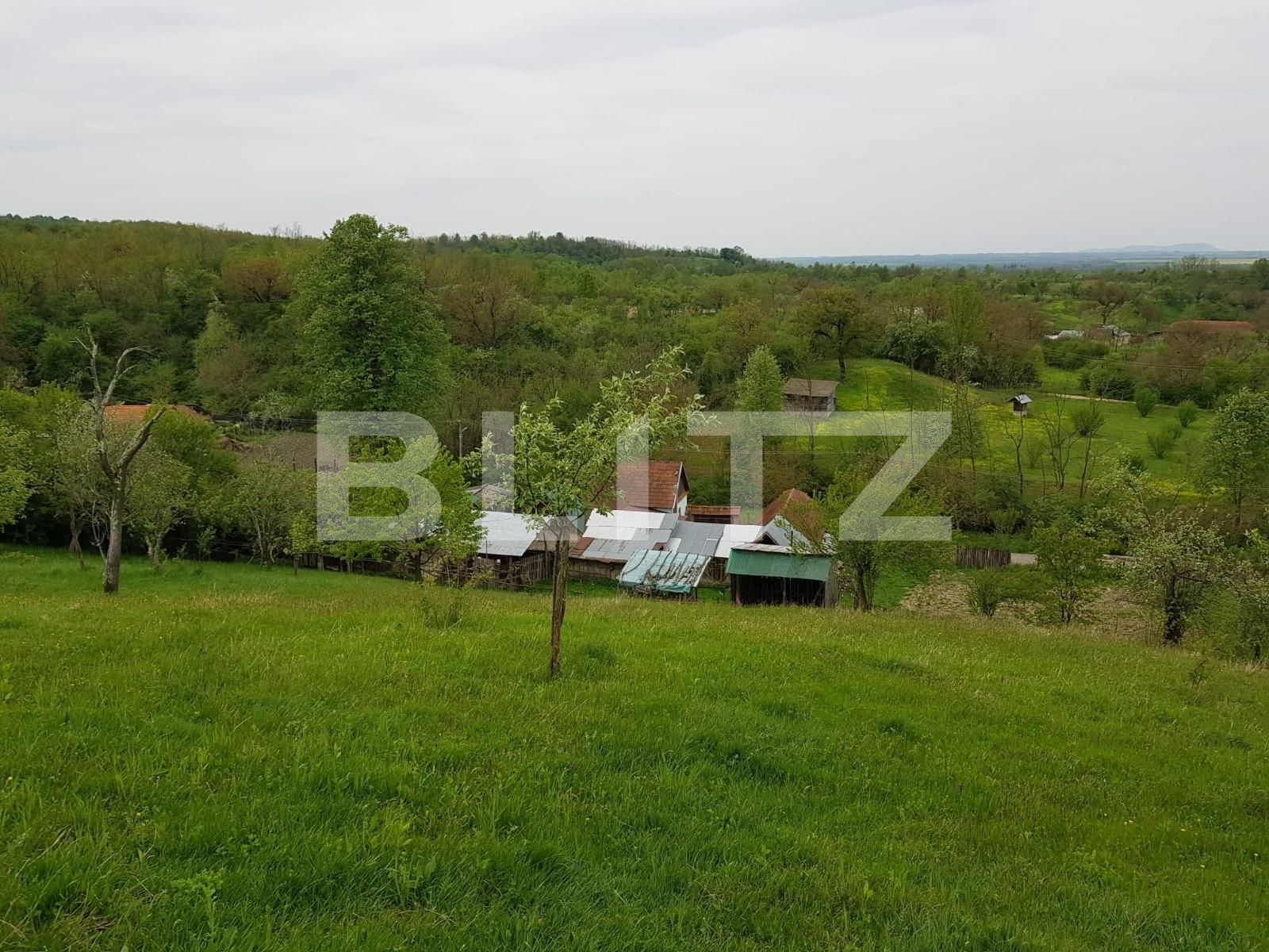 Casa de vânzare 3 camere Nadrag - 85924CV | BLITZ Timișoara | Poza10