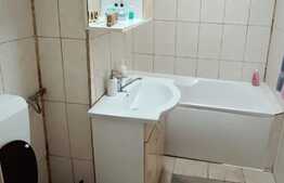 Apartament 3 camere, 55 mp, renovat, Calea Aradului