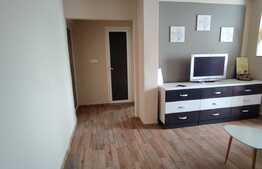 Apartament 3 camere, 55 mp, renovat, Calea Aradului