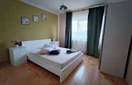 Apartament 3 camere, 55 mp, renovat, Calea Aradului