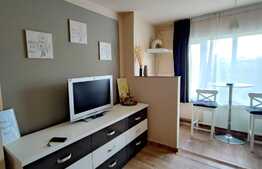 Apartament 3 camere, 55 mp, renovat, Calea Aradului