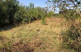 2 case, 78 mp, respectiv 93 mp, 2 terase, curte, zona Ghiroda