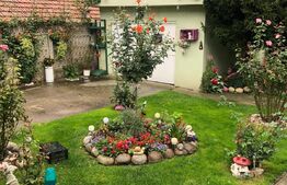 Casa individuala 160 mp, teren 881 mp, zona Observator!