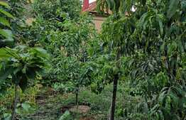 Casa de vanzare zona Mehala