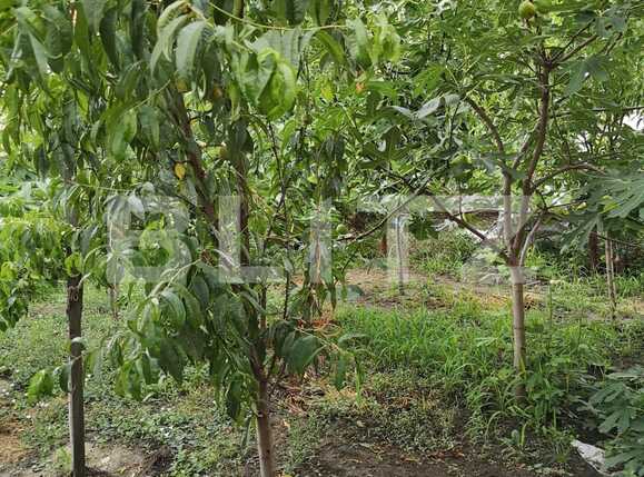 Casa de vânzare 4 camere Mehala - 86131CV | BLITZ Timișoara | Poza20