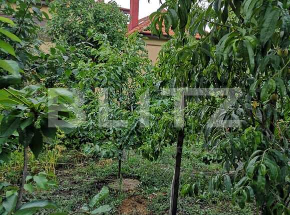 Casa de vânzare 4 camere Mehala - 86131CV | BLITZ Timișoara | Poza21