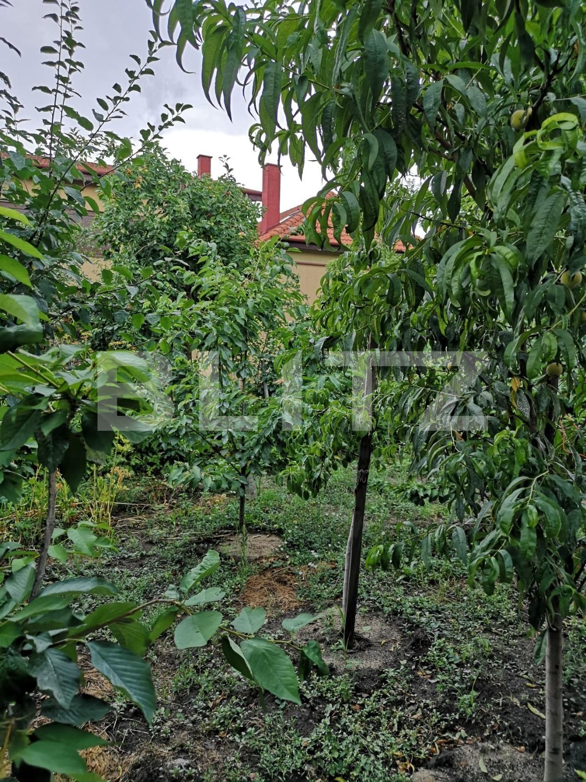 Casa de vânzare 4 camere Mehala - 86131CV | BLITZ Timișoara | Poza22