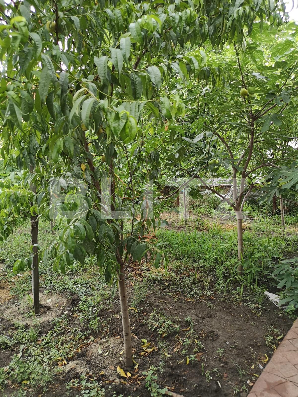 Casa de vânzare 4 camere Mehala - 86131CV | BLITZ Timișoara | Poza20