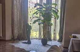 Casa individuala deosebita, 230 mp, 776 mp teren, Zona Braytim