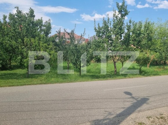 Casa de vânzare 5 camere Braytim - 86175CV | BLITZ Timișoara | Poza8