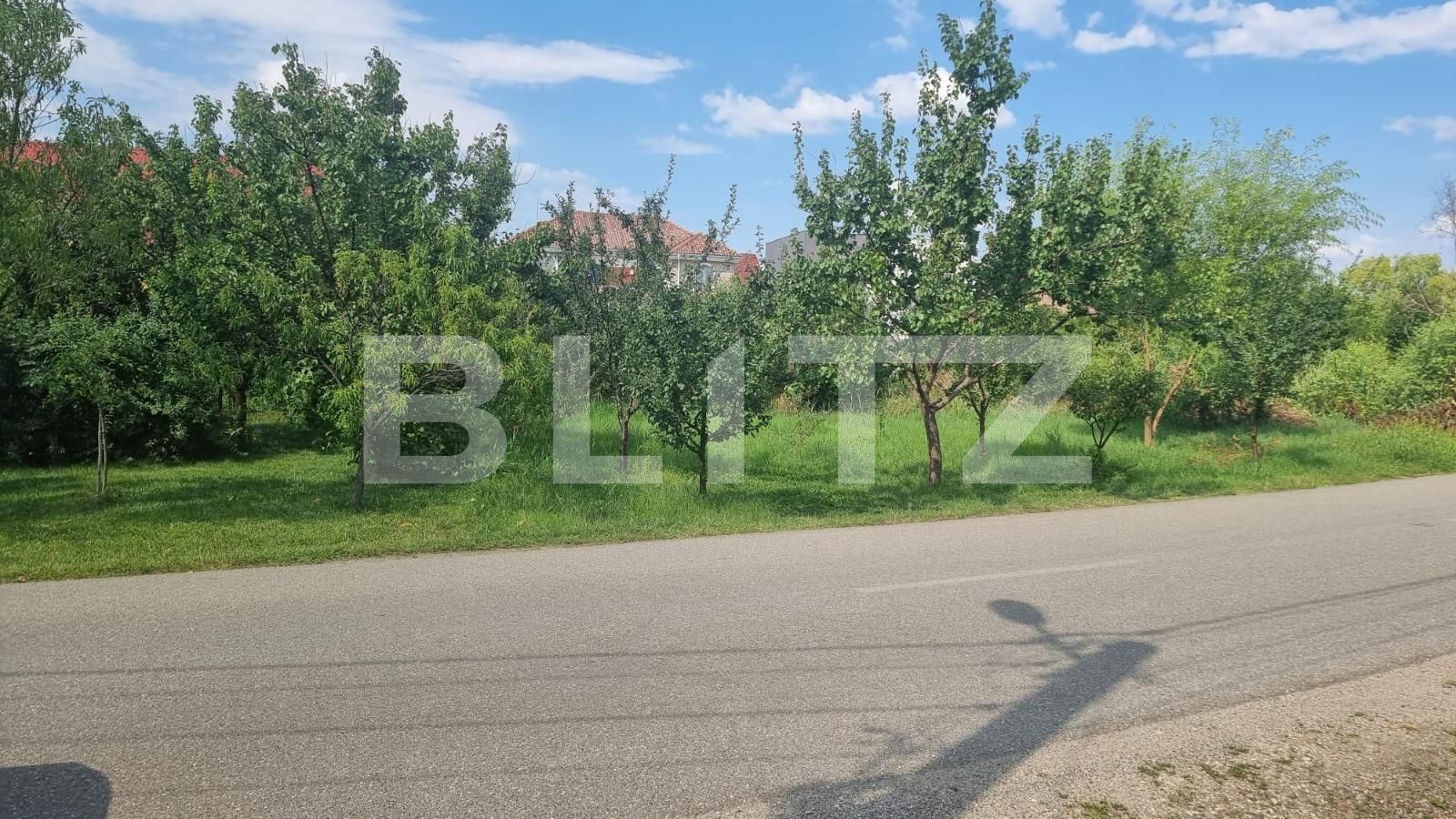 Casa de vânzare 5 camere Braytim - 86175CV | BLITZ Timișoara | Poza8