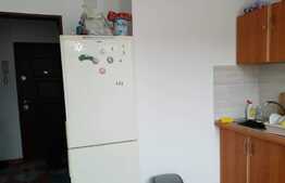 Garsoniera, 29 mp, Buziasului