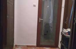 Garsoniera, 29 mp, Buziasului