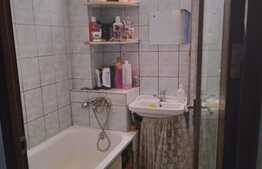 Garsoniera, 29 mp, Buziasului