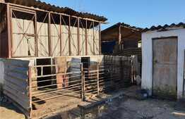 Casa de 4 camere, teren 2500 mp, Banloc