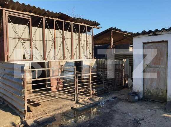 Casa de vânzare 4 camere Sud - 86301CV | BLITZ Timișoara | Poza3