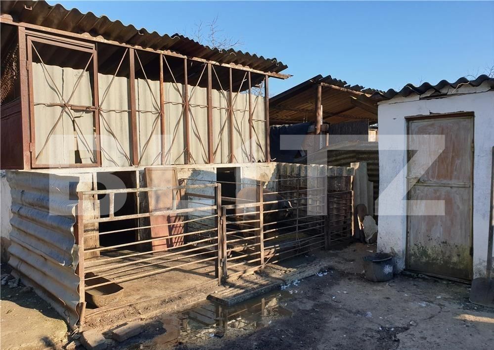 Casa de vânzare 4 camere Sud - 86301CV | BLITZ Timișoara | Poza3