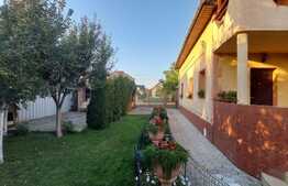 Casa cu 8 camere, 250 mp, zona Mosnita Noua