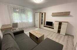 Apartament 2 camere, 50 mp, zona Piata Balcescu